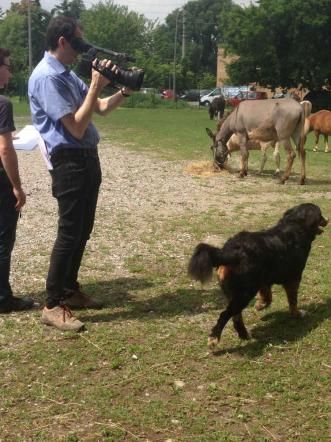© ufficio-stampa-mediaset 
