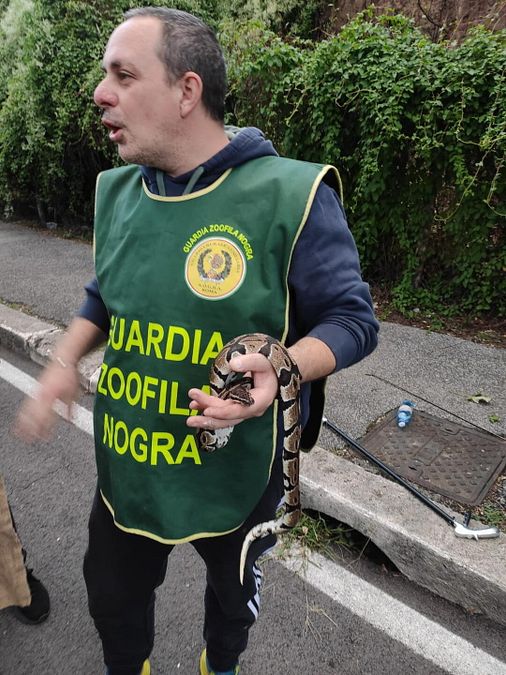© Guardia Rurale Ausiliaria Nogra Roma 