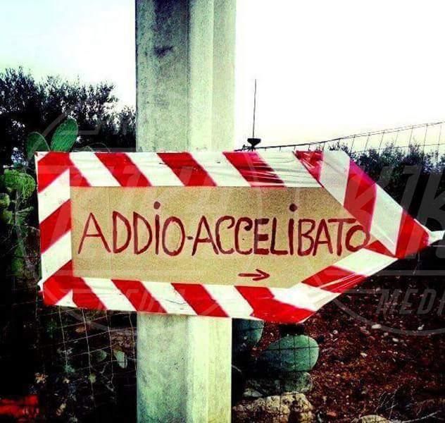© ufficio-stampa 