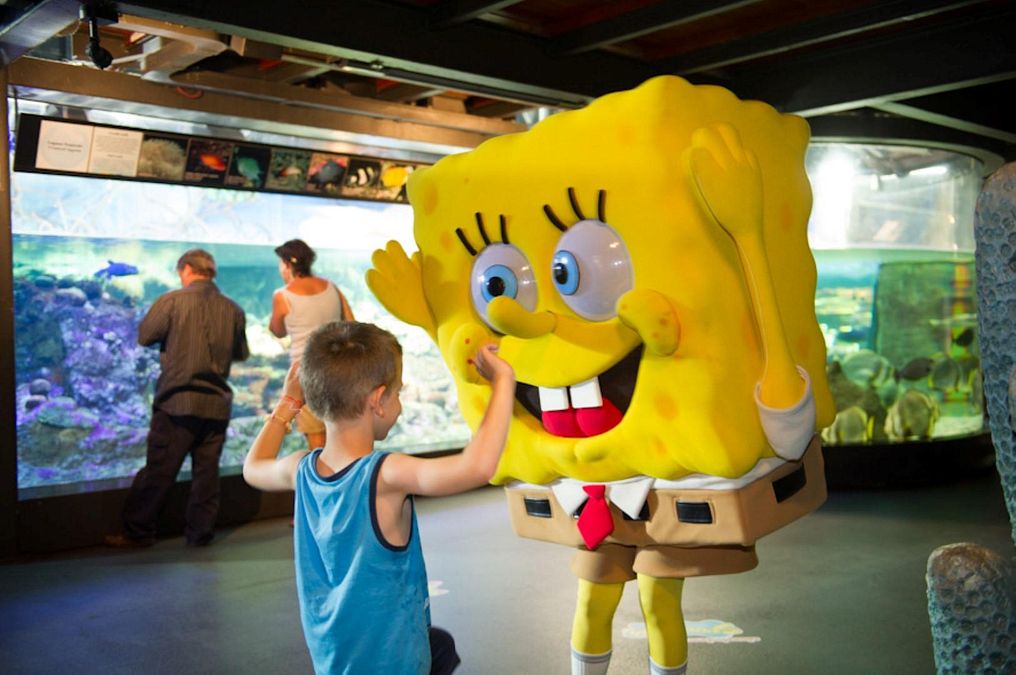 © ufficio-stampa  | Incontri ravvicinati con Spongebob. Fotografia: Merlo