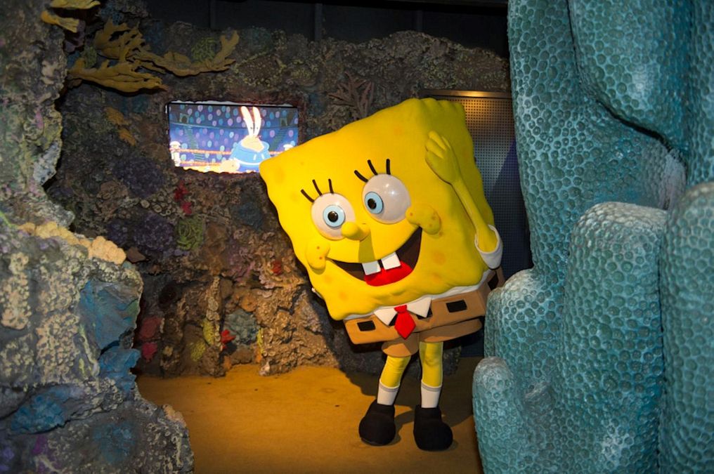 © ufficio-stampa  | Incontri ravvicinati con Spongebob. Fotografia: Merlo