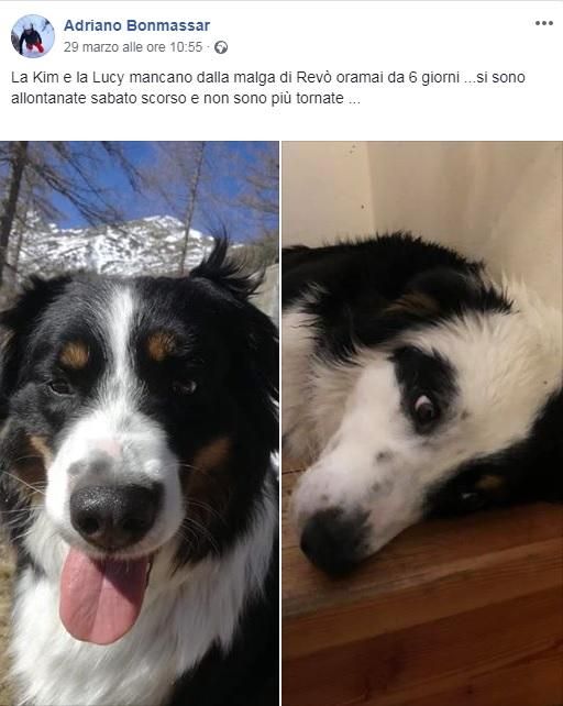 © facebook 