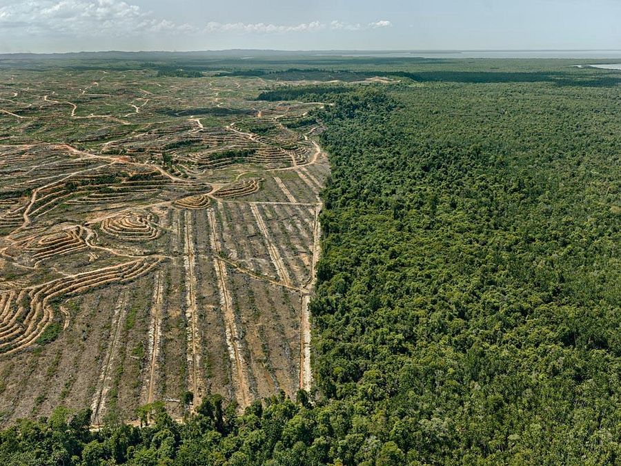 © ufficio-stampa  | Edward Burtynsky, Saw Mills #1, Lagos, Nigeria 2016
photo © Edward Burtynsky, courtesy Admira Photography, Milan / Nicholas Metivier Gallery, Toronto