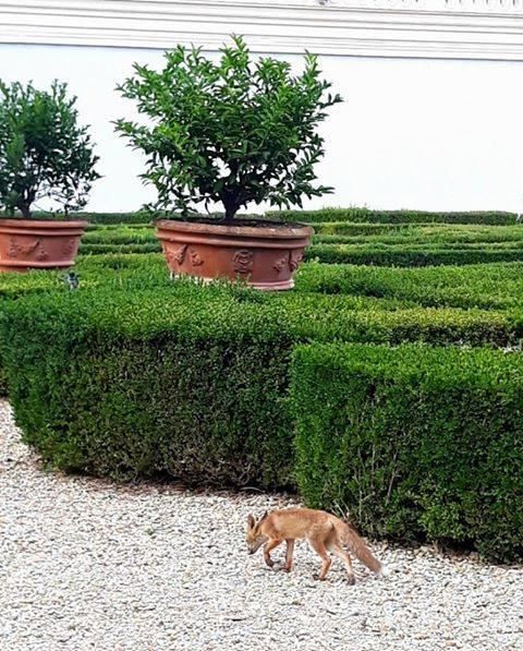 © associazione-per-villa-pamphilj 