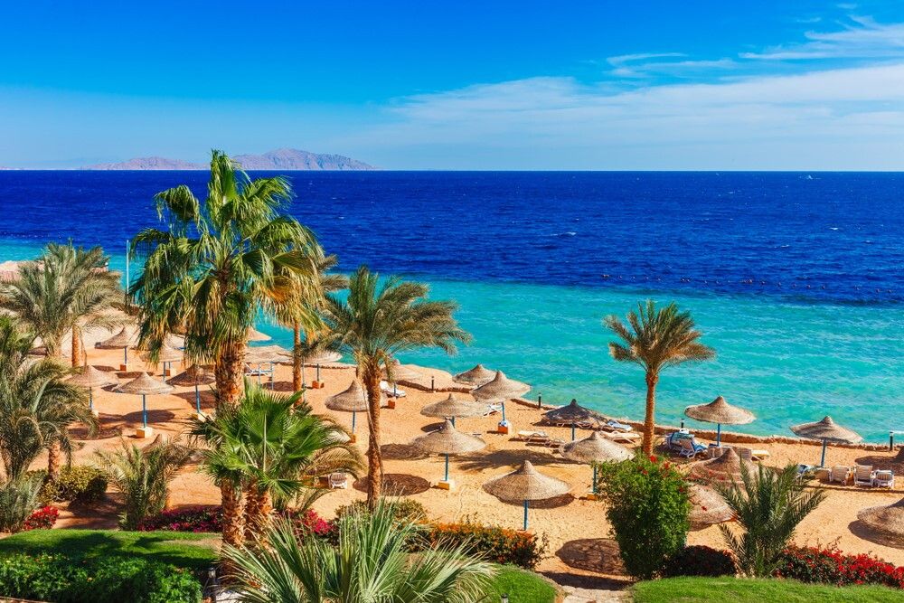 © Ufficio stampa  | Ibiza