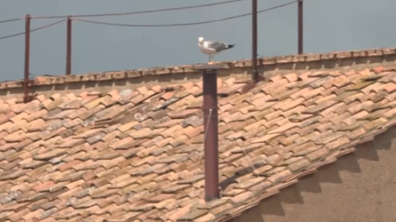 © Da video 