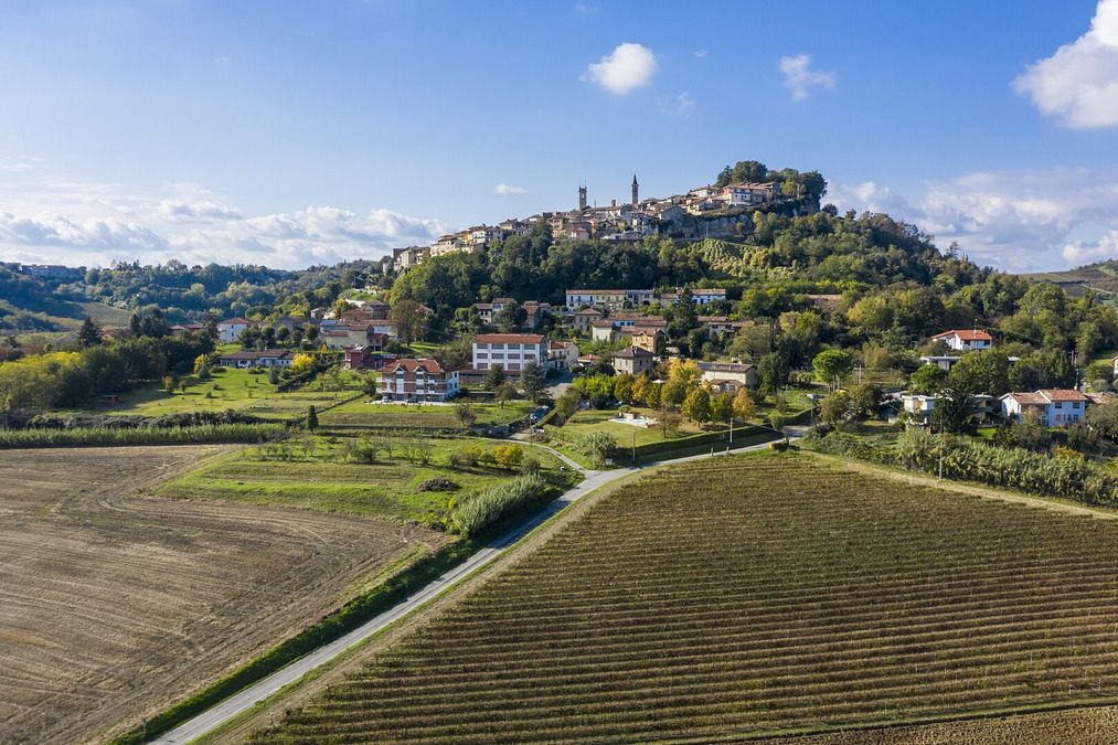 © Ufficio stampa  | Camagna Monferrato