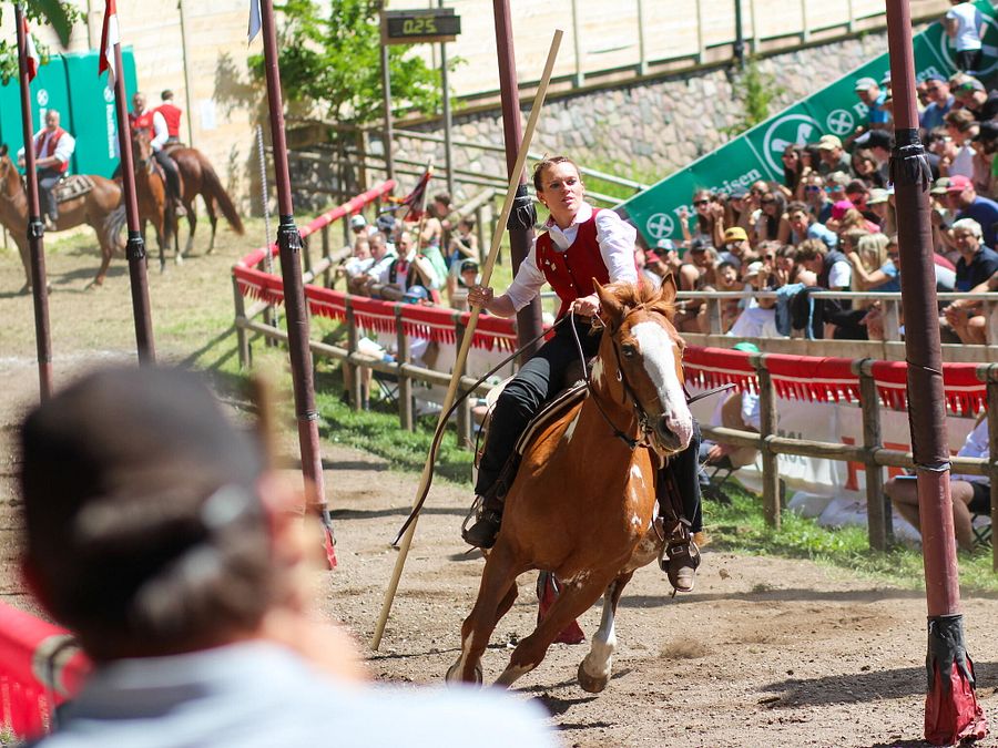 © Ufficio stampa  |  Cavalcata Oswald Von Wolkenstein: Action Credits: hkMedia