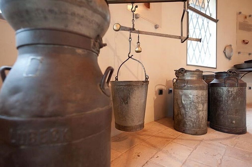 © Ufficio stampa  | Musei del Cibo della Provincia di Parma