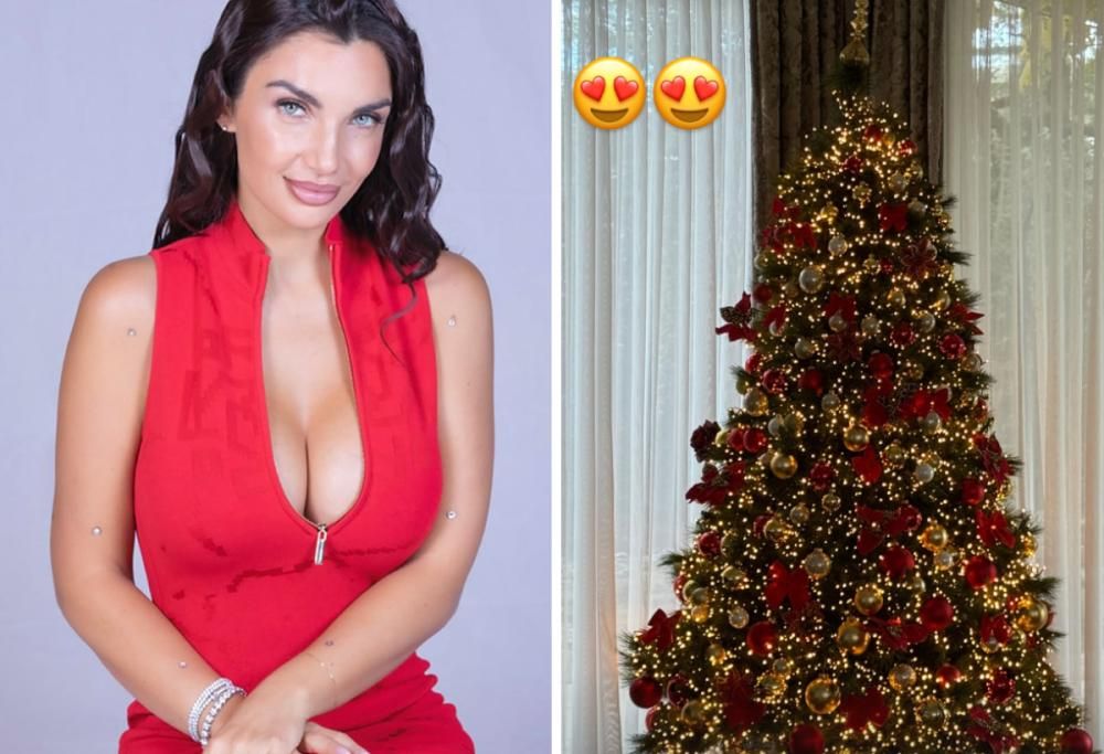 Per Elettra Lamborghini è già Natale: come ha addobbato l’abete