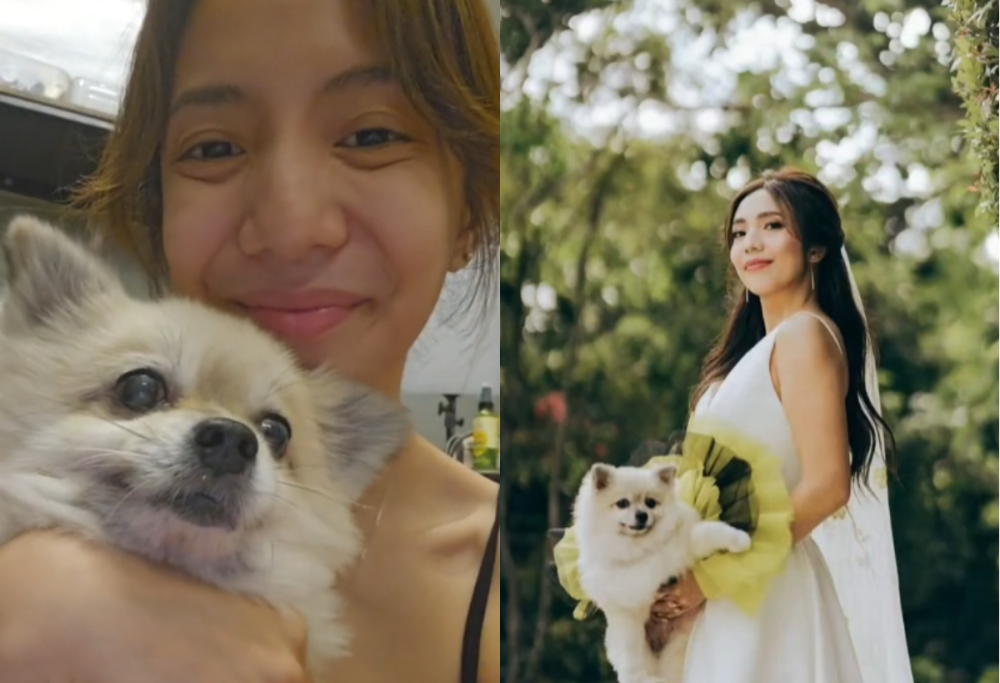 Sposa sostituisce il bouquet con il suo amato cane: il video