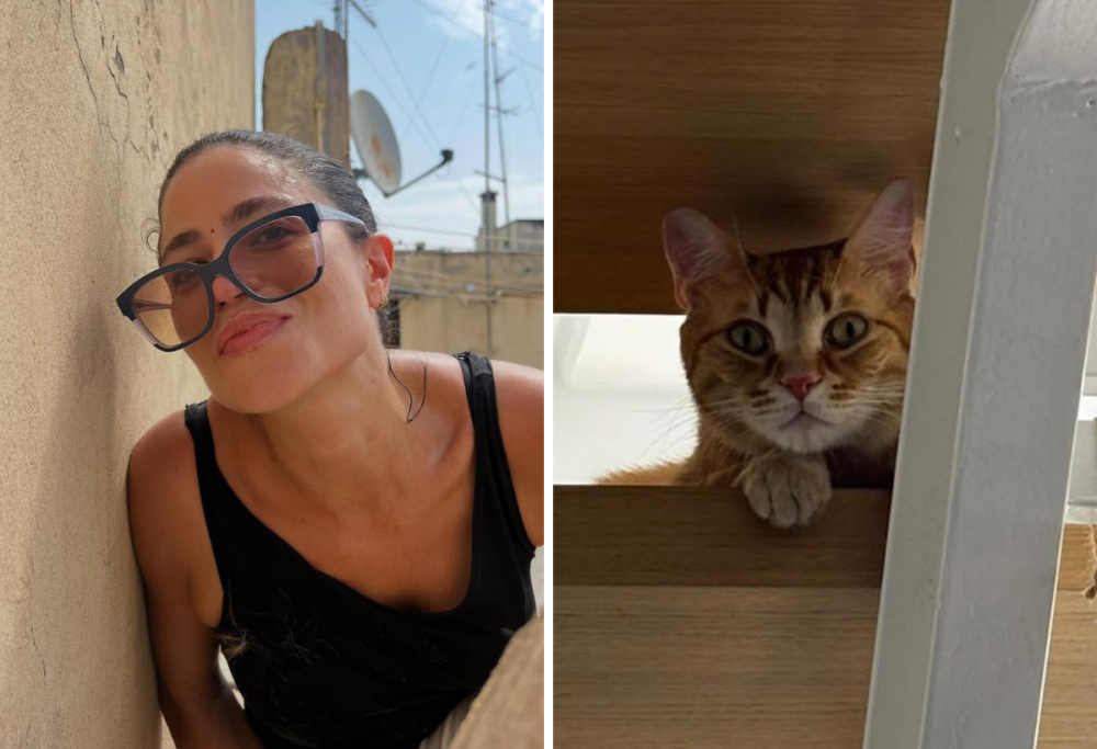 Veronica Gentili perde il gatto: “Ho urlato per tutta la notte”