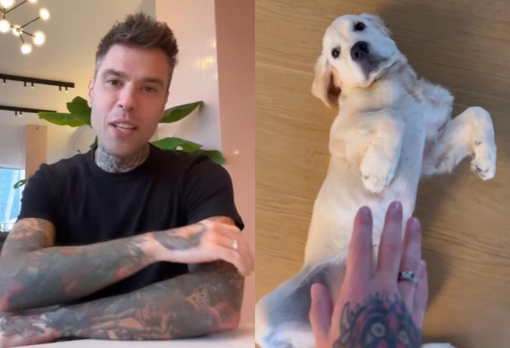 Fedez alle prese con i “regalini” lasciati dalla cagnolina Paloma