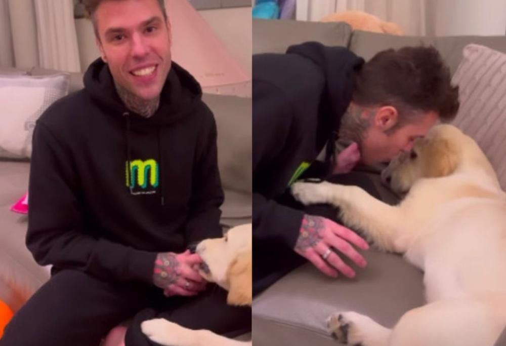Fedez “dogwhisper”: “Vi insegnerò come farvi amare dal vostro cane”