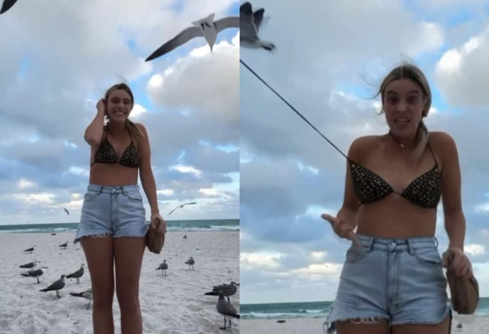 Gabbiano sfila il bikini a un’influencer mentre registra un video