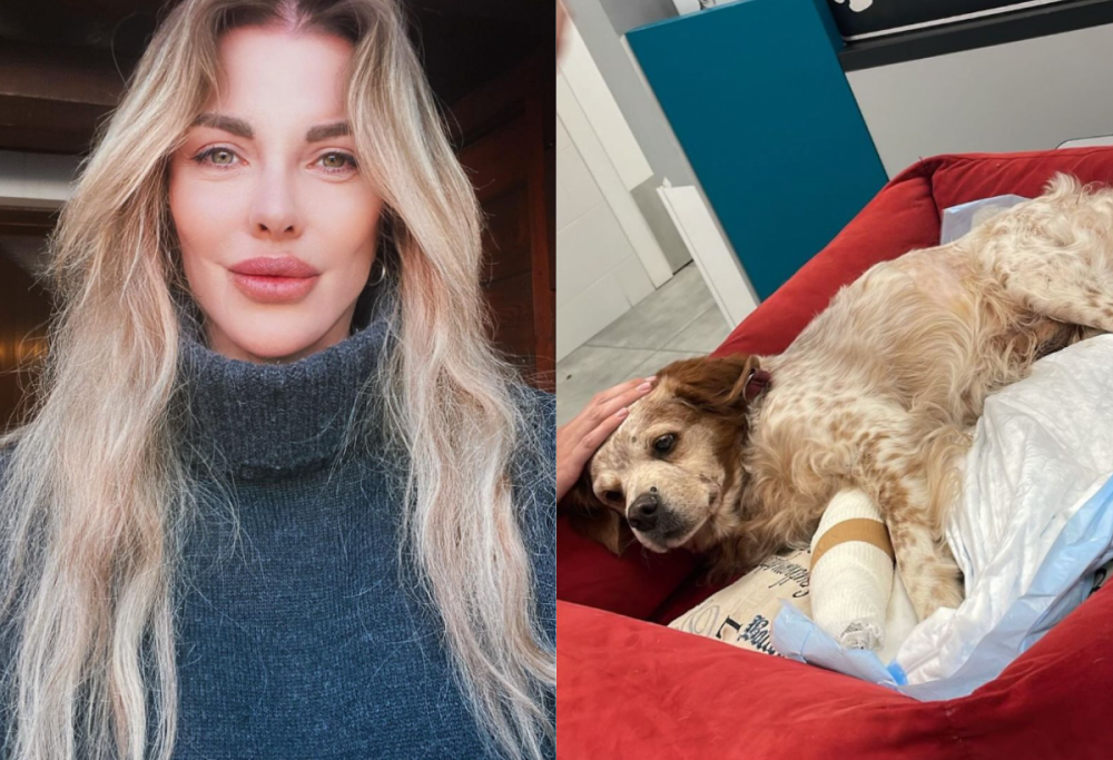 Alba Parietti, incidente con il suo cagnolino: “Sono tristissima”