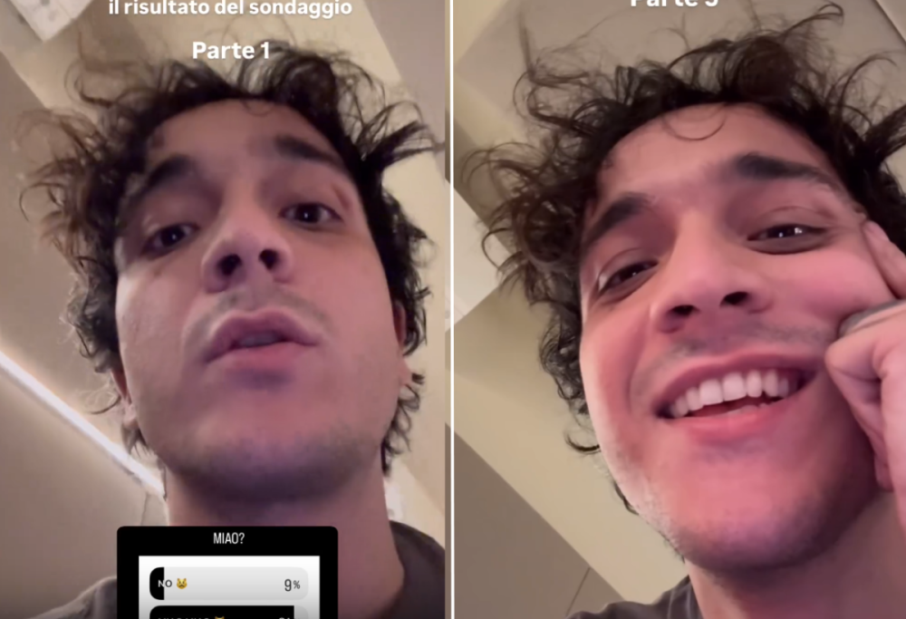 Tananai mette la “Miao Miao Song” in scaletta? Di cosa si tratta