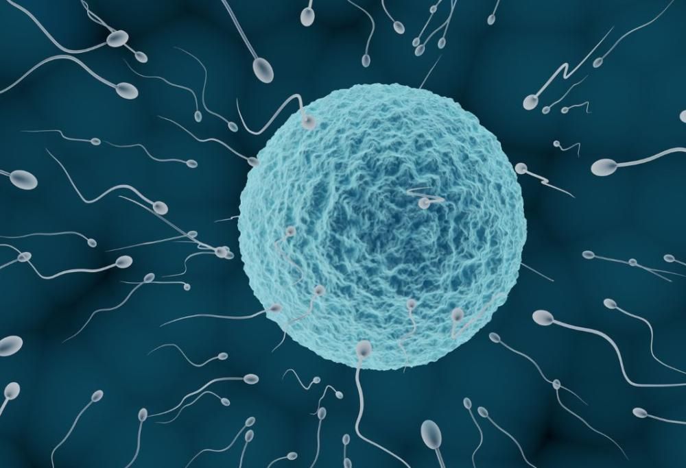 Tecnologia: ecco l’ultima frontiera della fecondazione