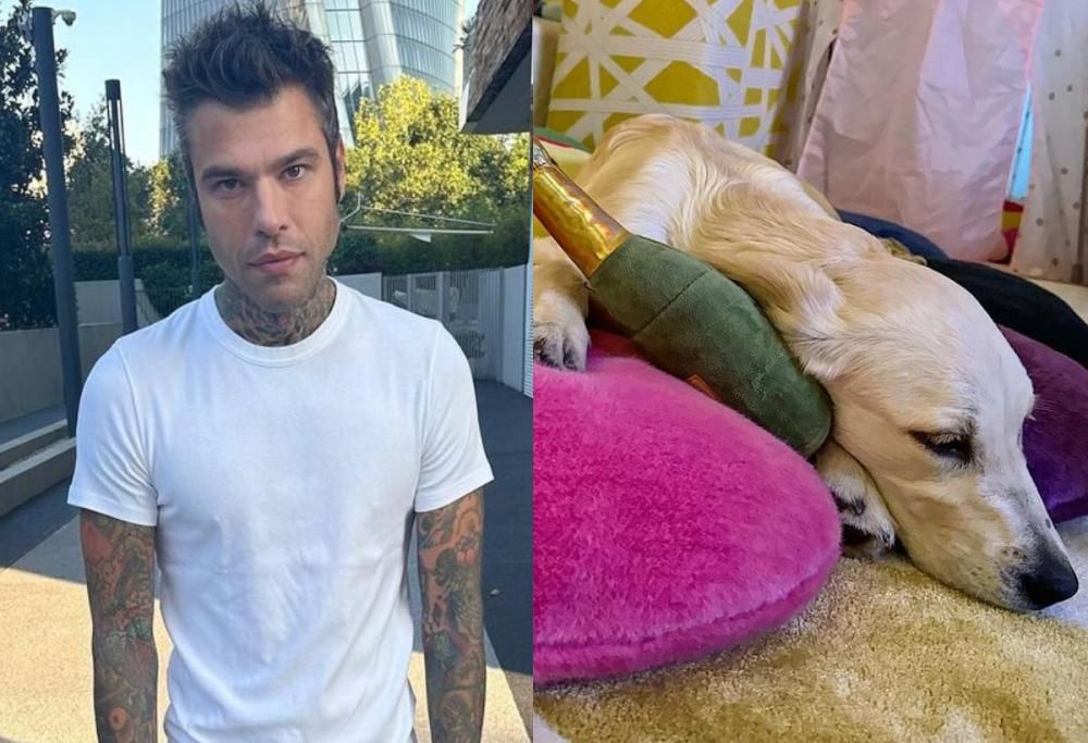 Fedez non parla più di Chiara ma si dedica completamente a Paloma