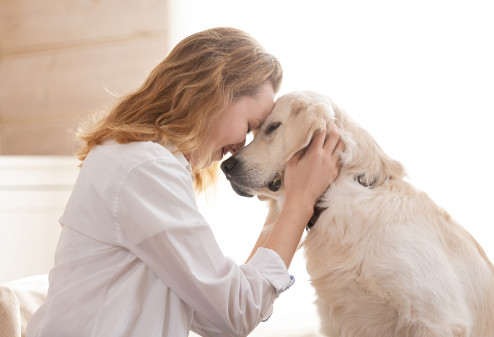 I cani sono in grado di percepire la gravidanza della padrona?