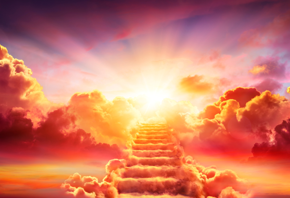 Cosa accade nel cervello prima della morte? Uno studio lo rivela