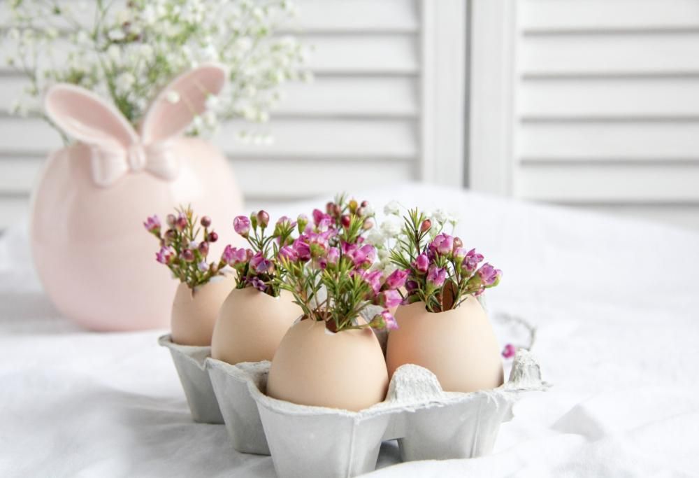 3 cose per cui non sapevi che i gusci di uova ti sarebbero tornati utili