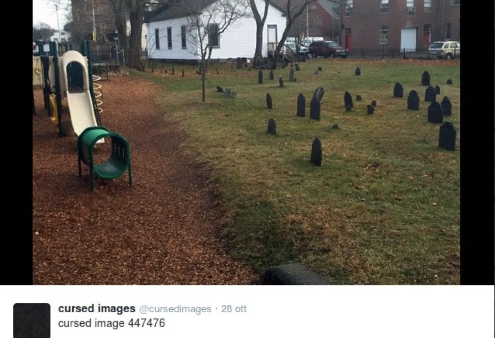 Immagini maledette: l’account Twitter che pubblica le foto più inquietanti dal web