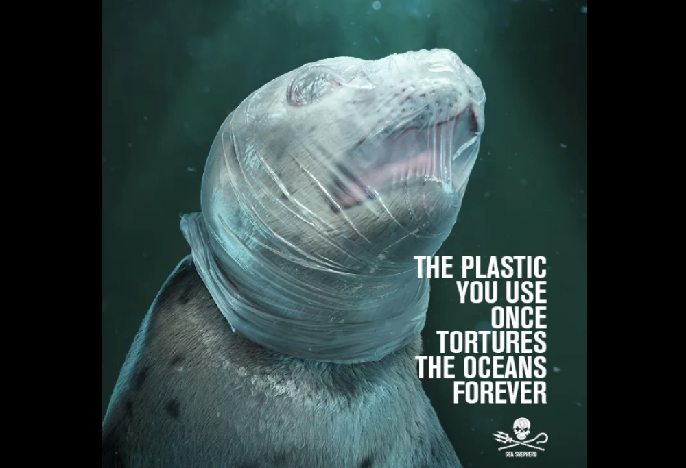 La scioccante campagna contro l’uso della plastica