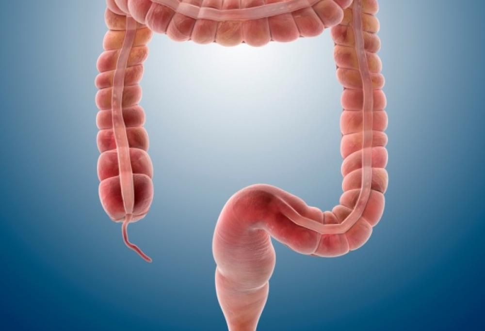 Le parti del corpo che  non usiamo più!