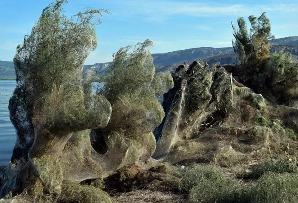 Ragnatela di 300 metri in Grecia: le immagini sono incredibili