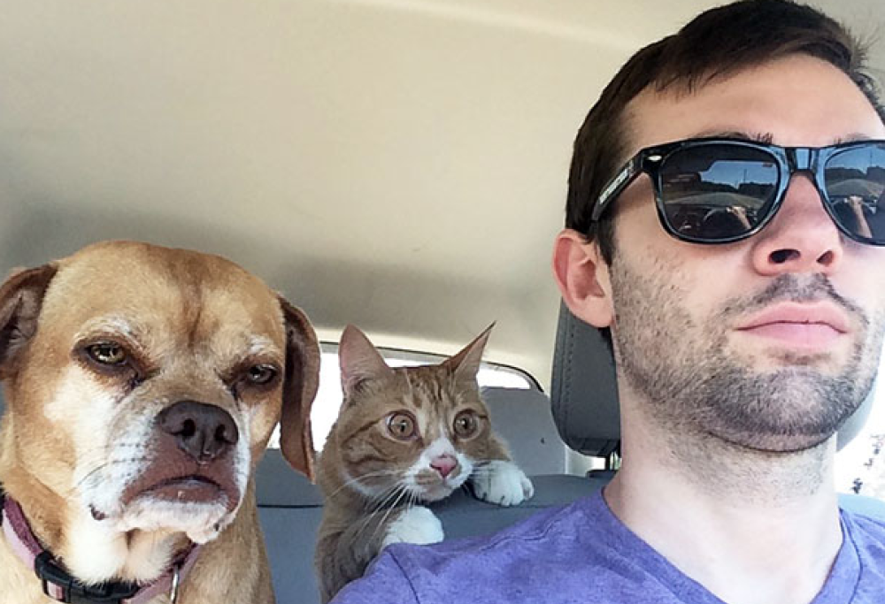 Le 10 reazioni più esilaranti di cani portati dal veterinario