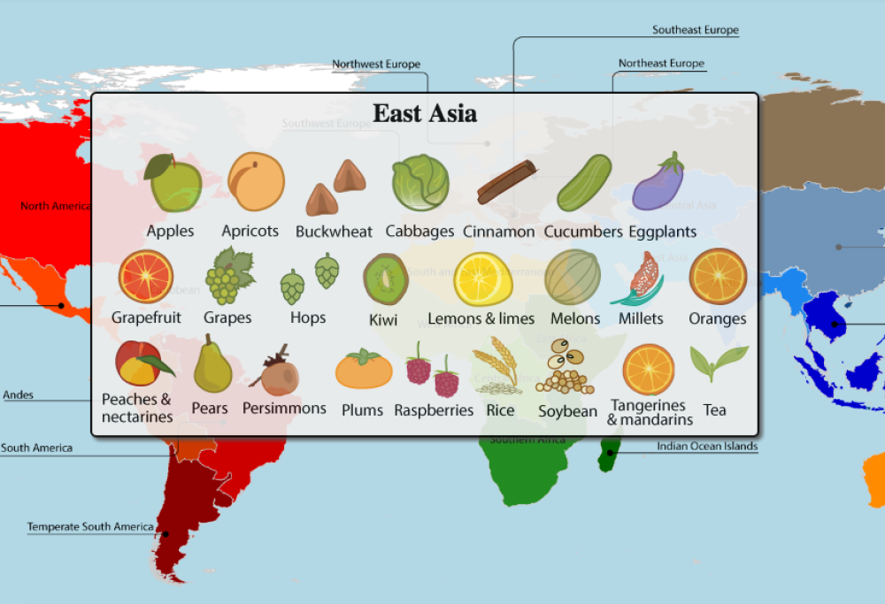 Finalmente la mappa interattiva che illustra le origini dei cibi che mangiamo