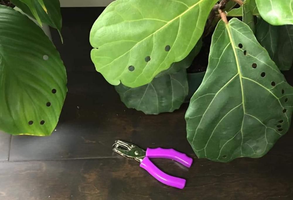 Cosa succede quando lasciamo i bambini a casa da soli?