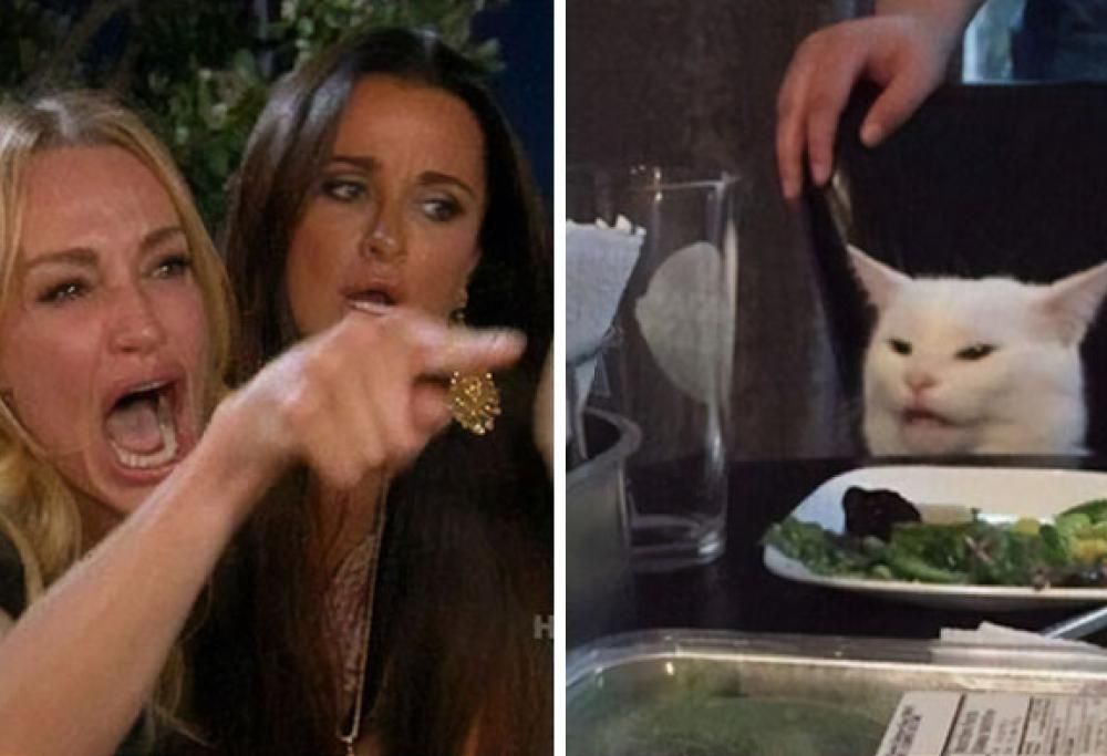 Ecco chi è il gatto del famoso meme della donna che gli urla contro