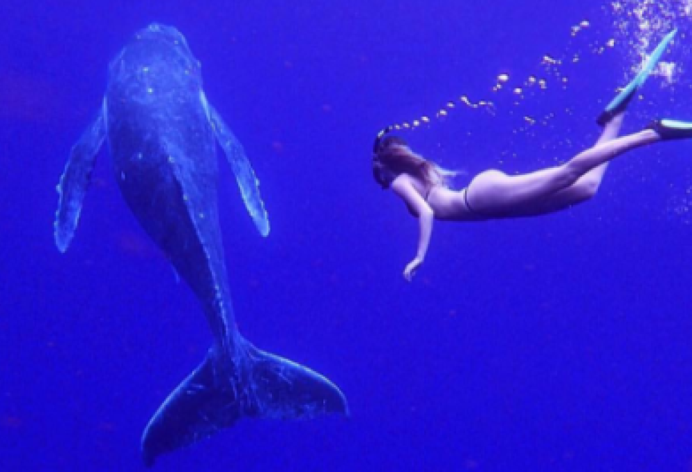 Sarah Kohan, la studentessa giramondo che fa impazzire Instagram