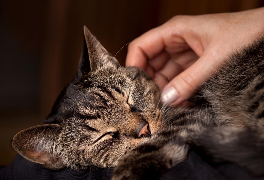 Ecco 7 misteri che la scienza non è ancora riuscita a spiegare