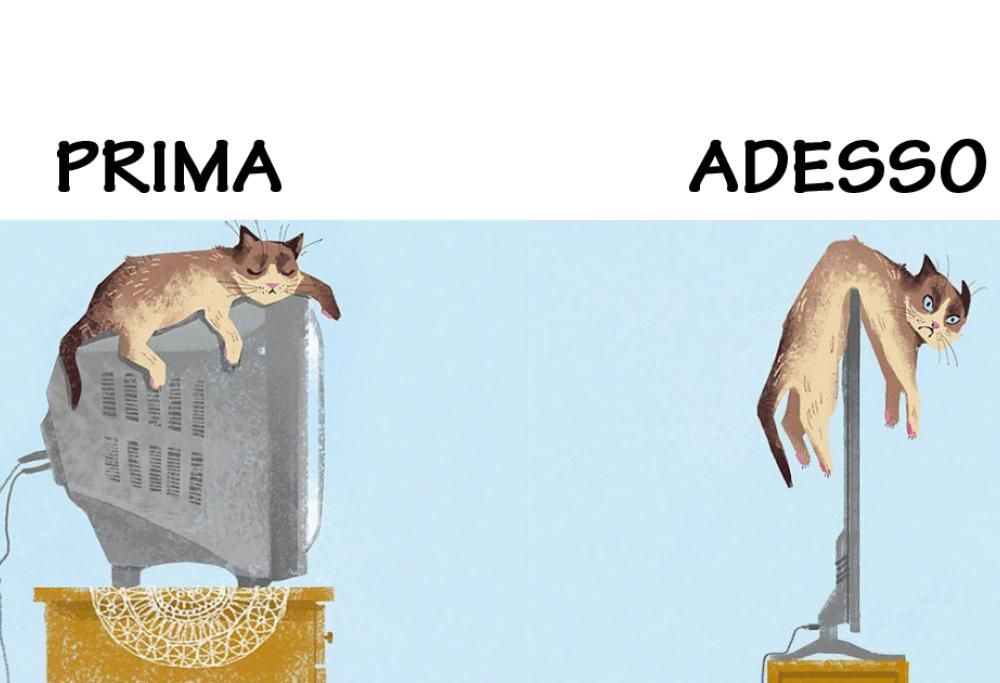 Gatti vs tecnologia, come l’innovazione ha cambiato la vita dei nostri amici pelosi