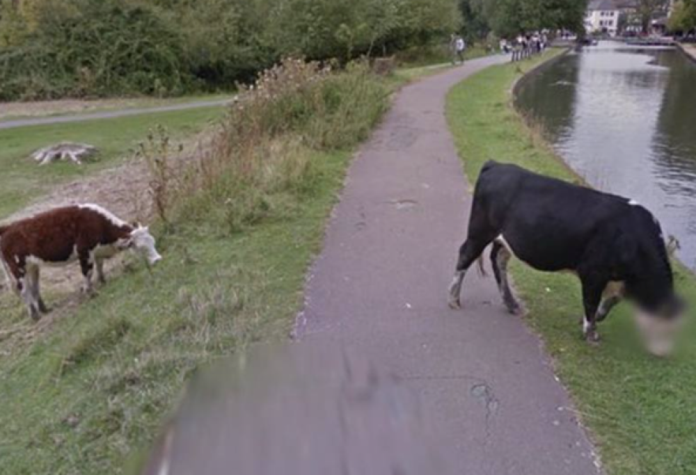 Google Street View compie 15 anni: 4 cose assurde che ha immortalato
