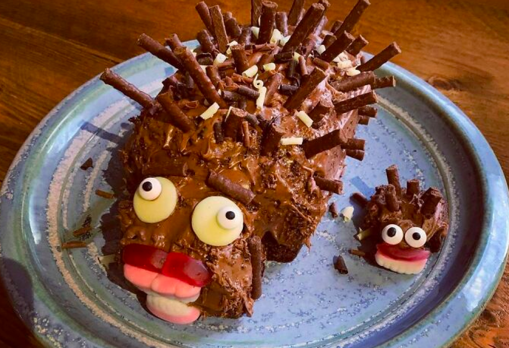 Vi sfidiamo a creare torte-riccio più brutte di queste