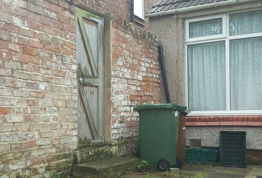 Qui c’è un gatto, ma quasi nessuno riesce a trovarlo… Tu?