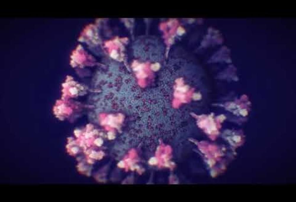 Ecco come appare il Covid-19 nell’ultimo  dettagliatissimo modello 3D realizzato dai ricercatori