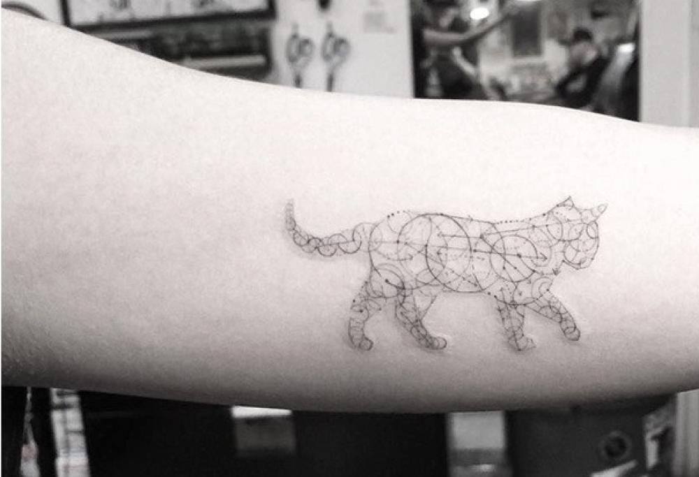 Ami i gatti? Ecco i tatuaggi più belli da fare