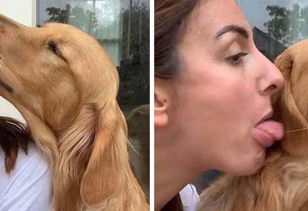 6 divertentissime foto mostrano la relazione speciale di questa donna con i suoi cani