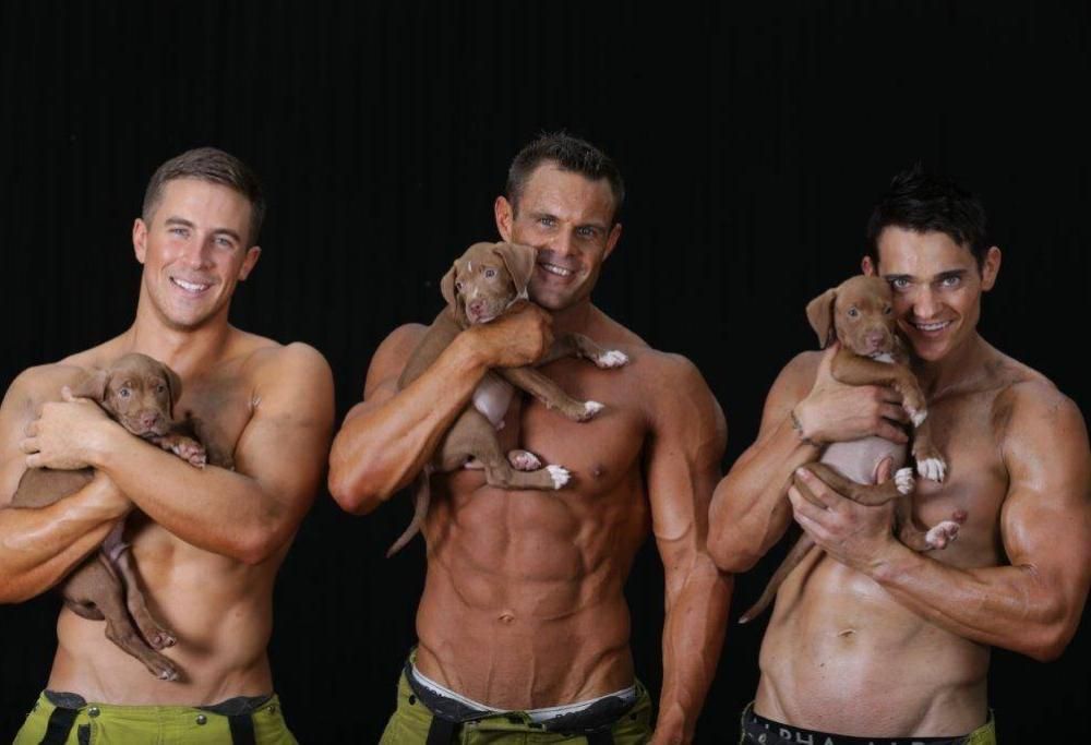 I pompieri sexy raccolgono fondi per i cuccioli