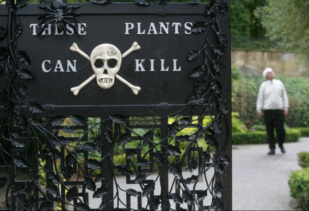 Ecco il giardino più velenoso del mondo