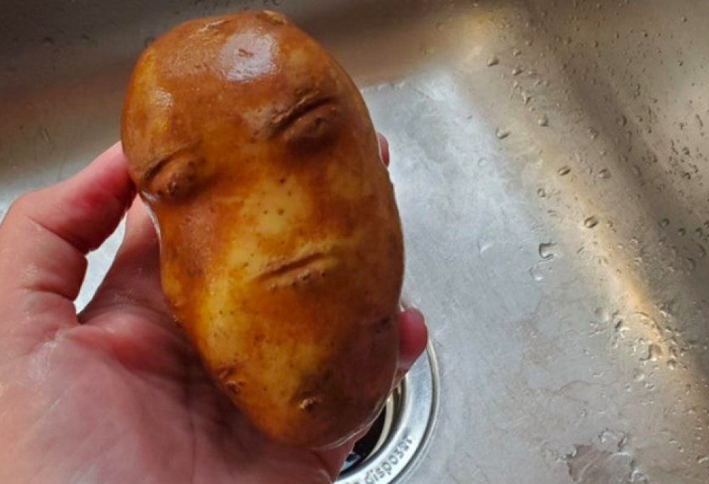 10 illusioni ottiche tutte da ridere