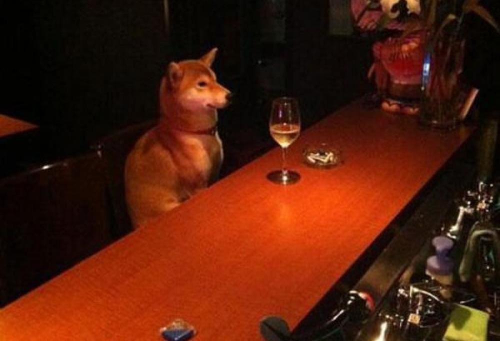 La divertente gallery delle foto più assurde di sempre