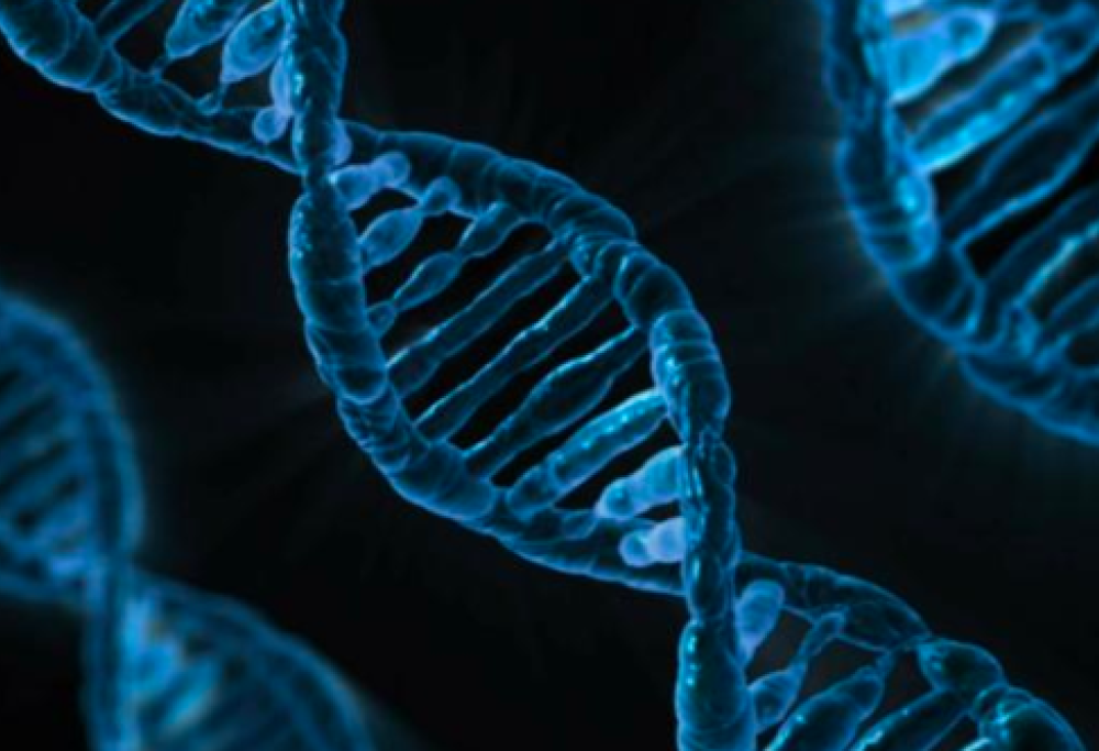 Ecco le 10 scoperte scientifiche più importanti del 2018