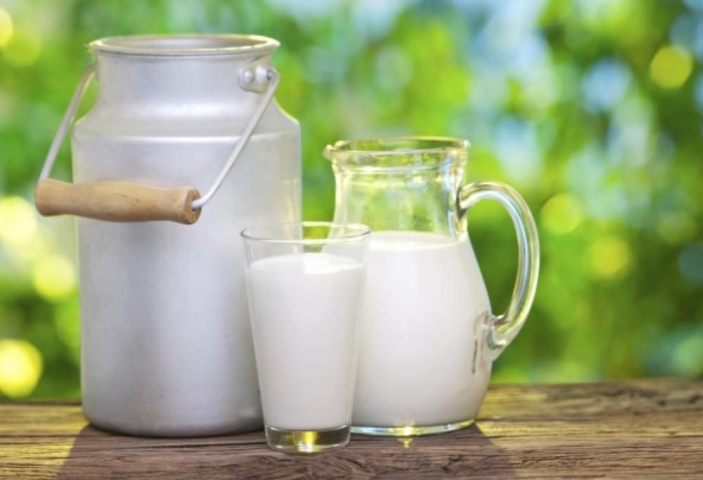 Le più strane curiosità sul latte che devi sapere!