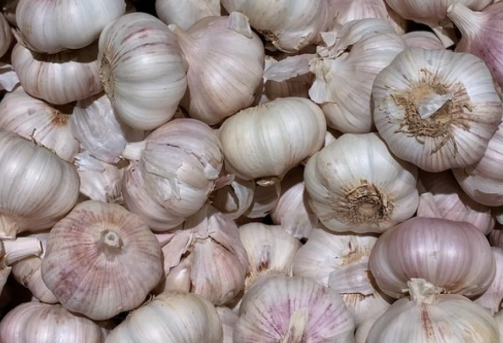 Dimagrire mangiando: ecco gli 8 alimenti che fanno perder peso senza  sforzi